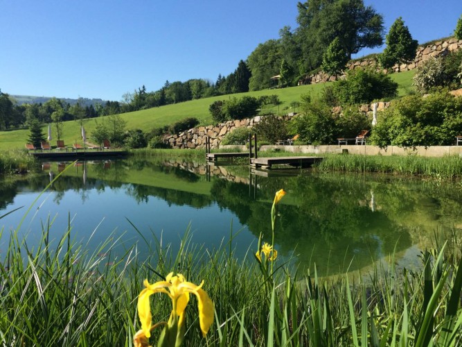 RelaxResort Kothmühle, Linz – image 3
