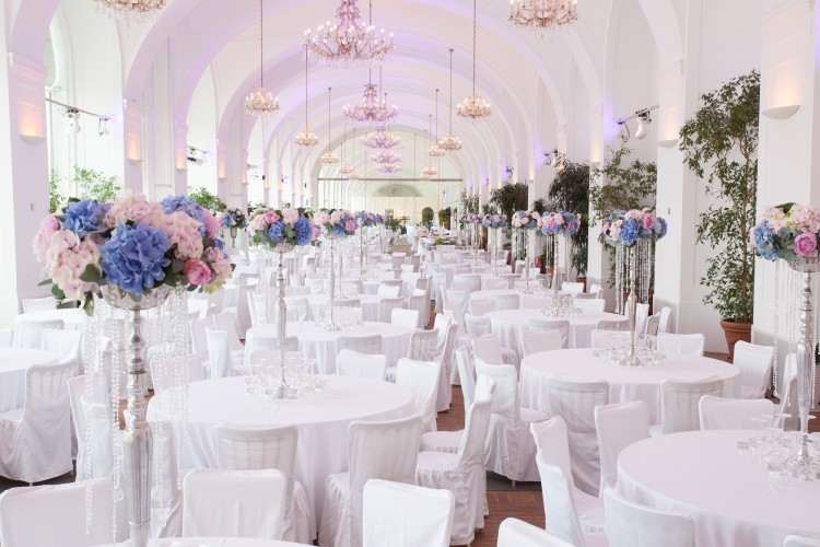 Orangerie Schönbrunn, Wien – Bild 2