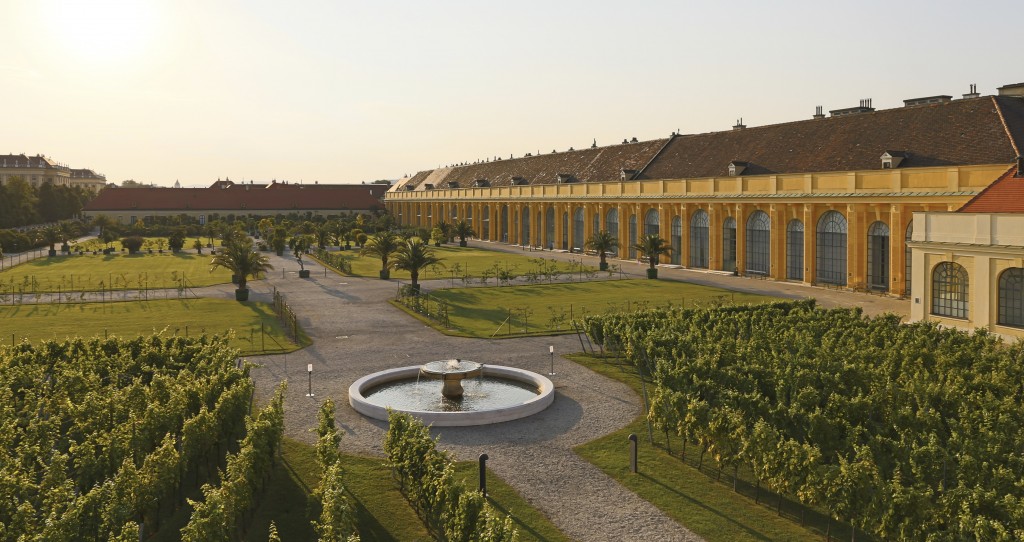 Orangerie Schönbrunn, Wien – Bild 1