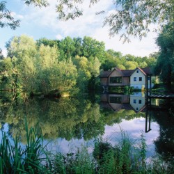 Steintaler Naturhotels