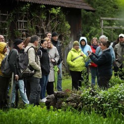 Steinschalter Naturhotel Seminarhotel Niederösterreich, Seminare im Grünen, Nachhaltige Seminarlocation, Pielachtal Seminarhotel