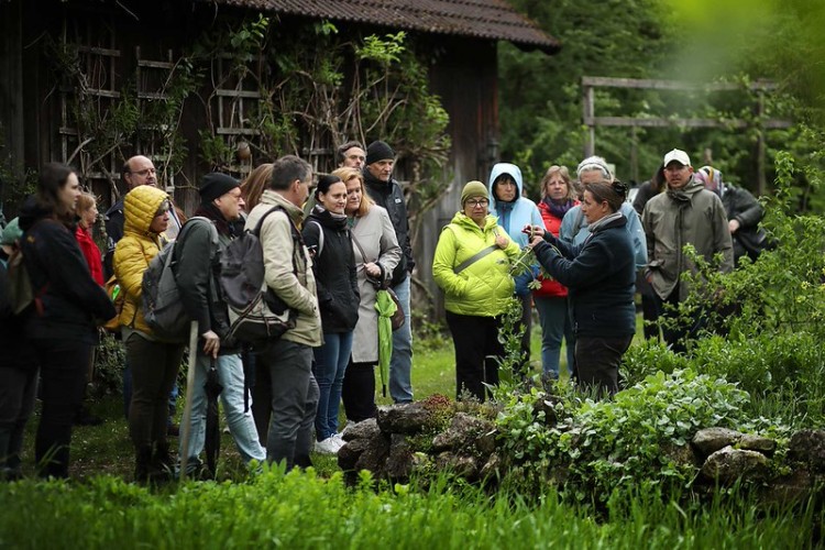 Steinschalter Naturhotel Seminarhotel Niederösterreich, Seminare im Grünen, Nachhaltige Seminarlocation, Pielachtal Seminarhotel