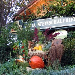 Steinschalter Naturhotel Seminarhotel Niederösterreich, Seminare im Grünen, Nachhaltige Seminarlocation, Pielachtal Seminarhotel